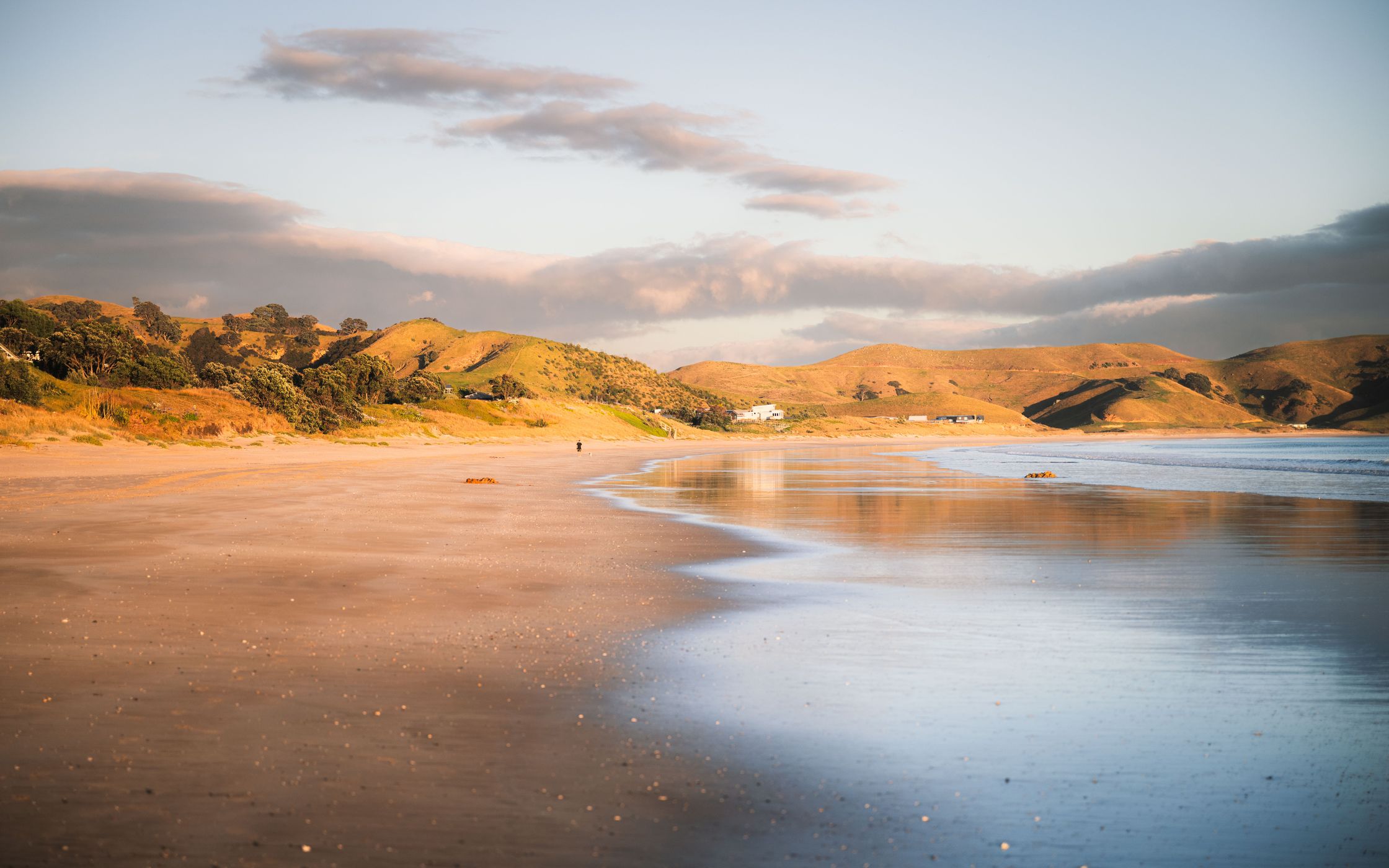 Opito Bay Beach Walk, New Zealand