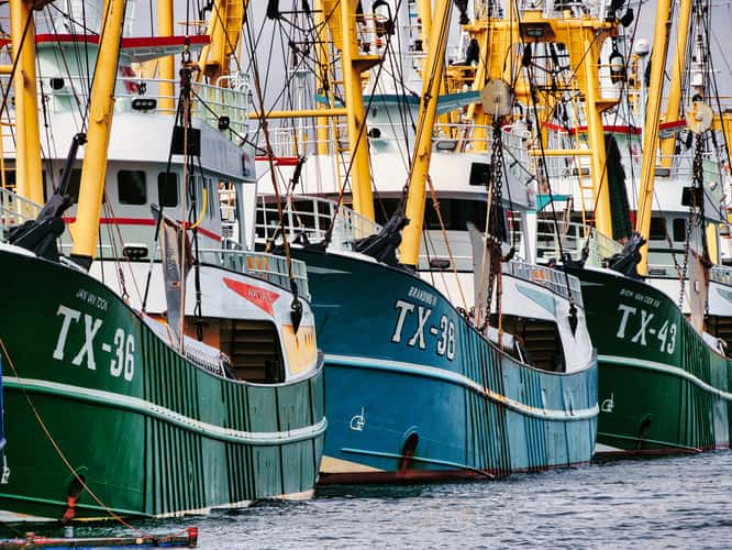 Oudeschild Hafen