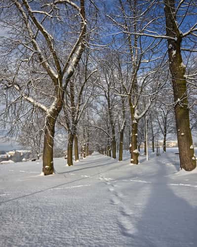 Park Hrádek