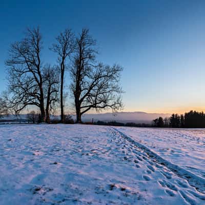 Peretshofener Höhe, Germany