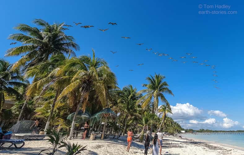 Punta Allen beach