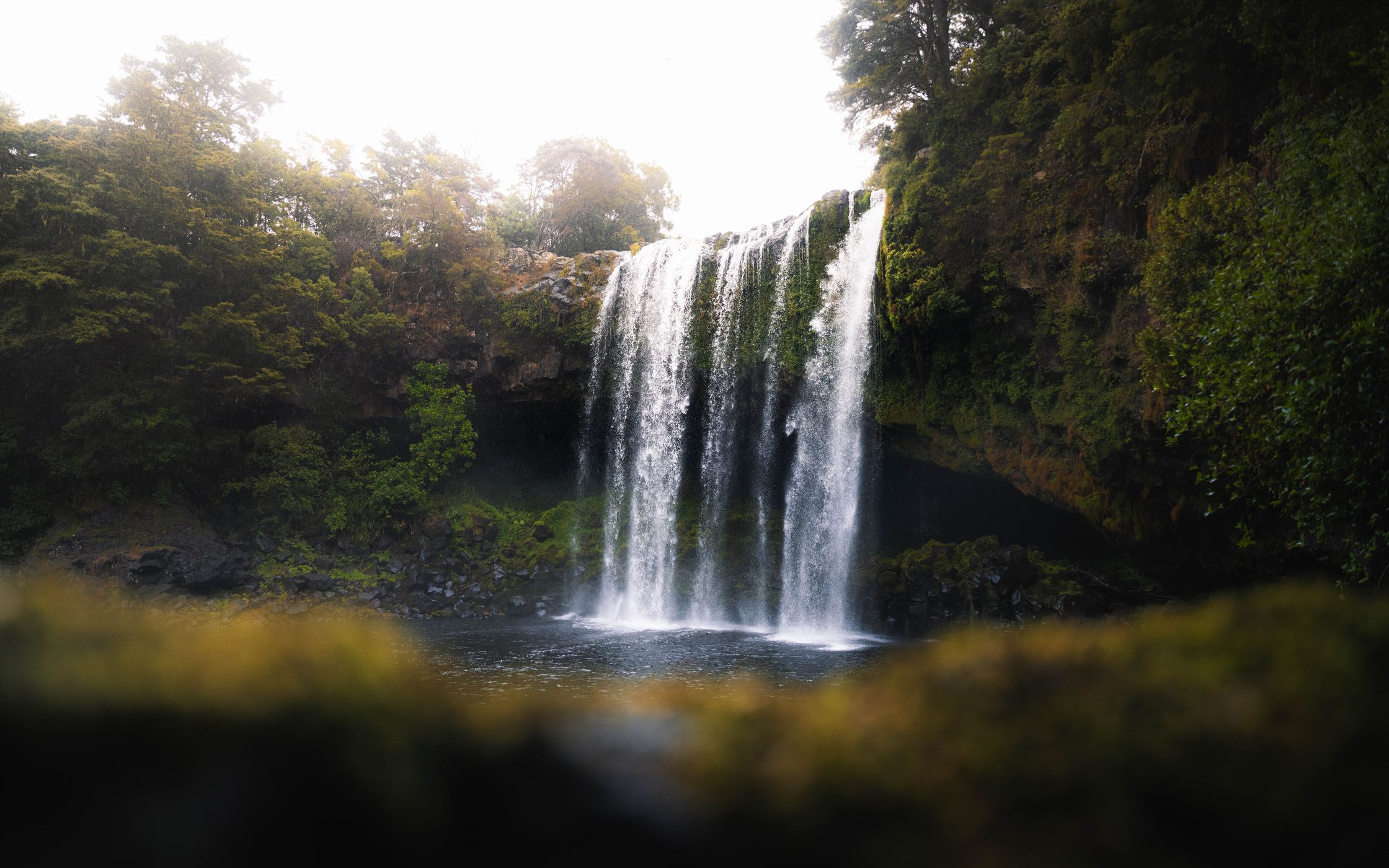 Rainbow Falls (KeriKeri), New Zealand
