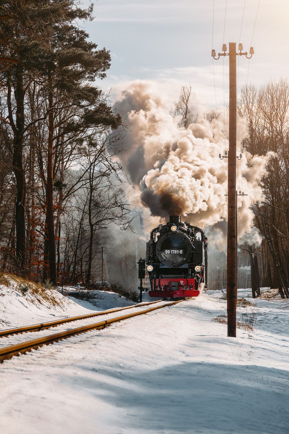 Rasender Roland in Baabe, Germany