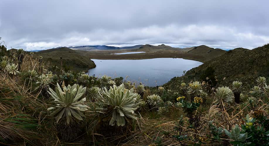 Reserva Ecológica El Ángel
