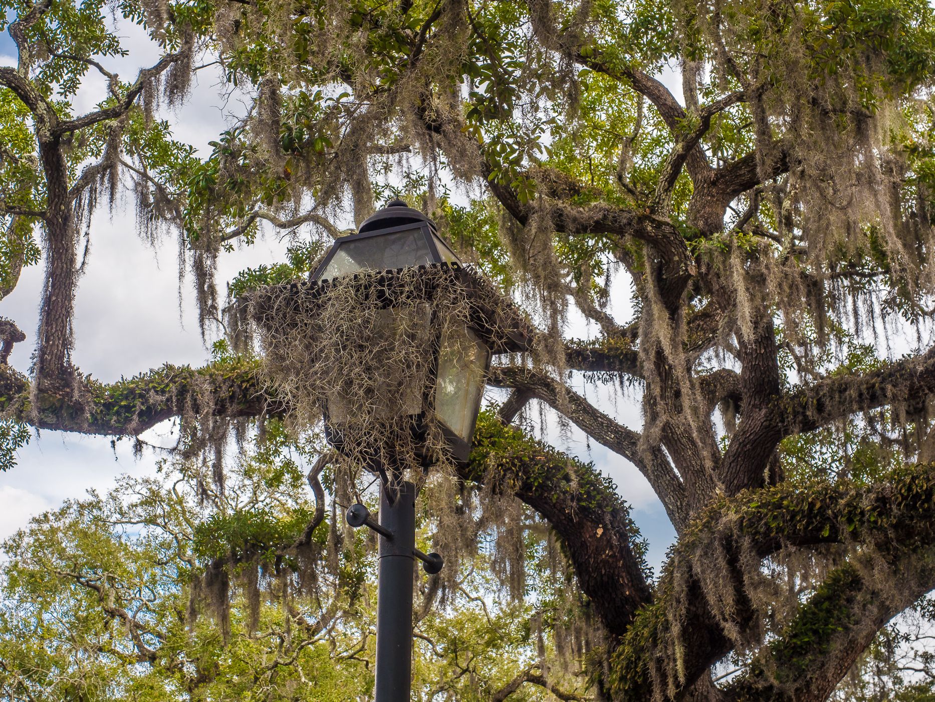 Savannah, Georgia, USA
