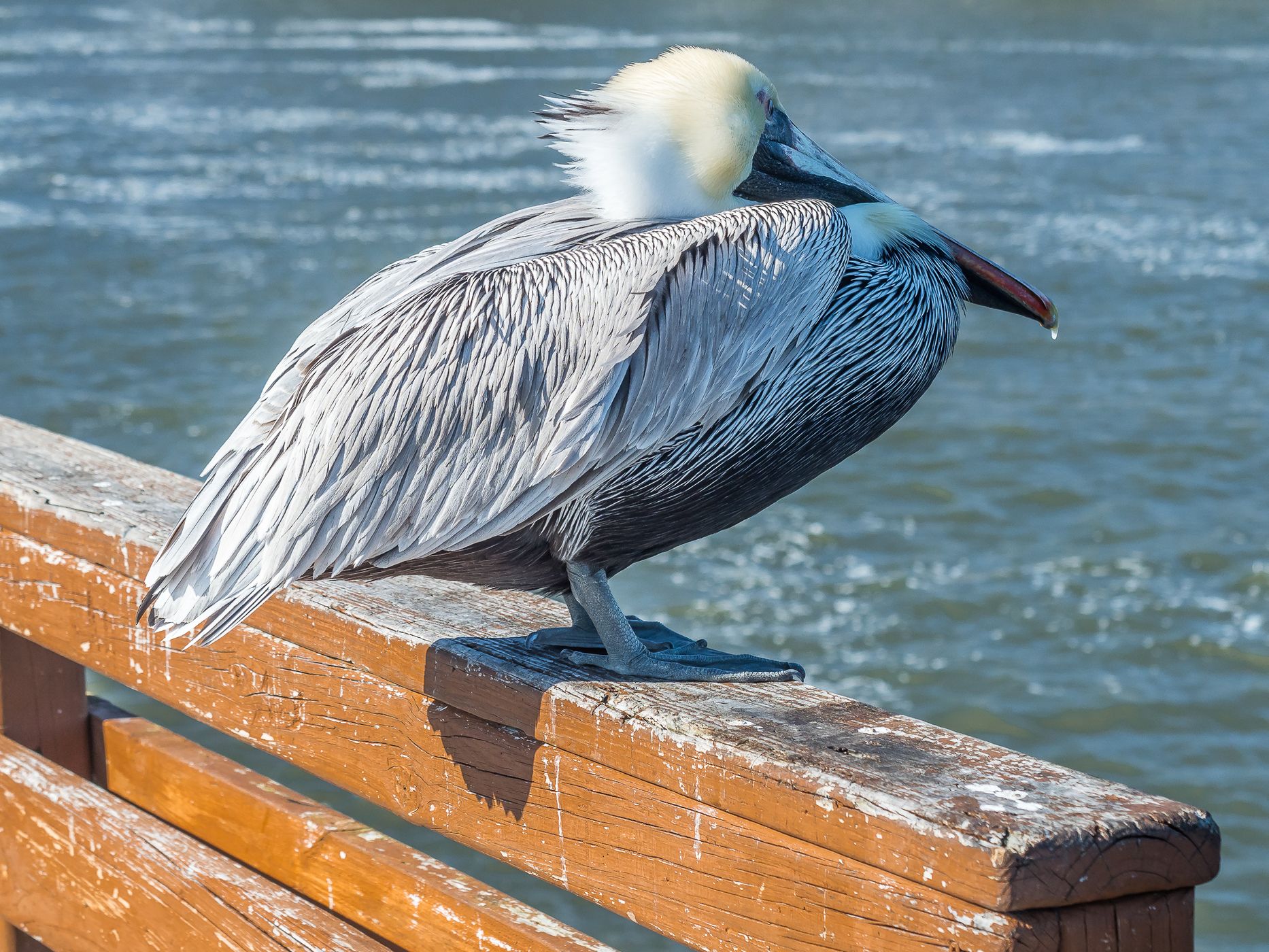 St. Simons Island, USA