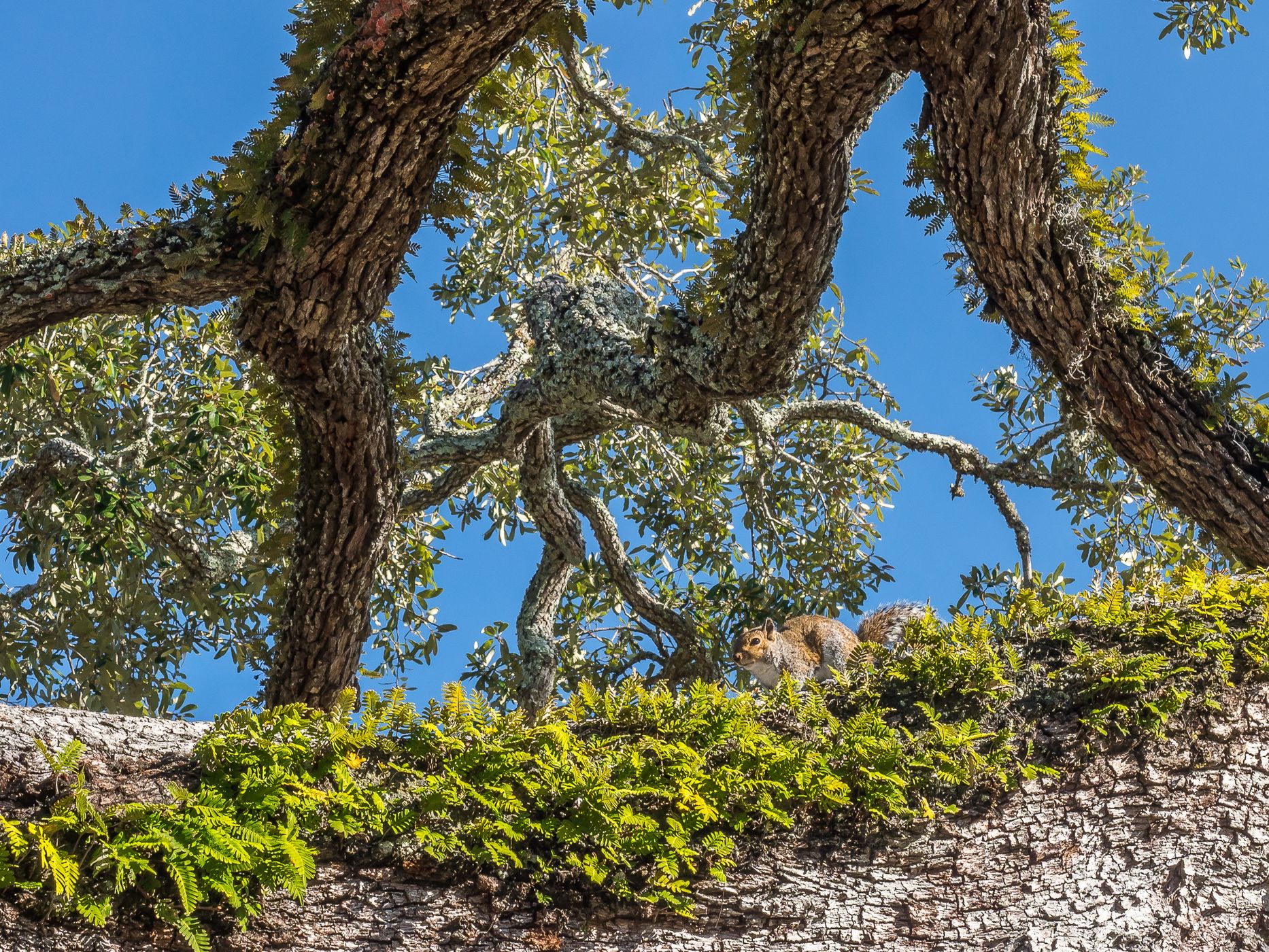 St. Simons Island, USA