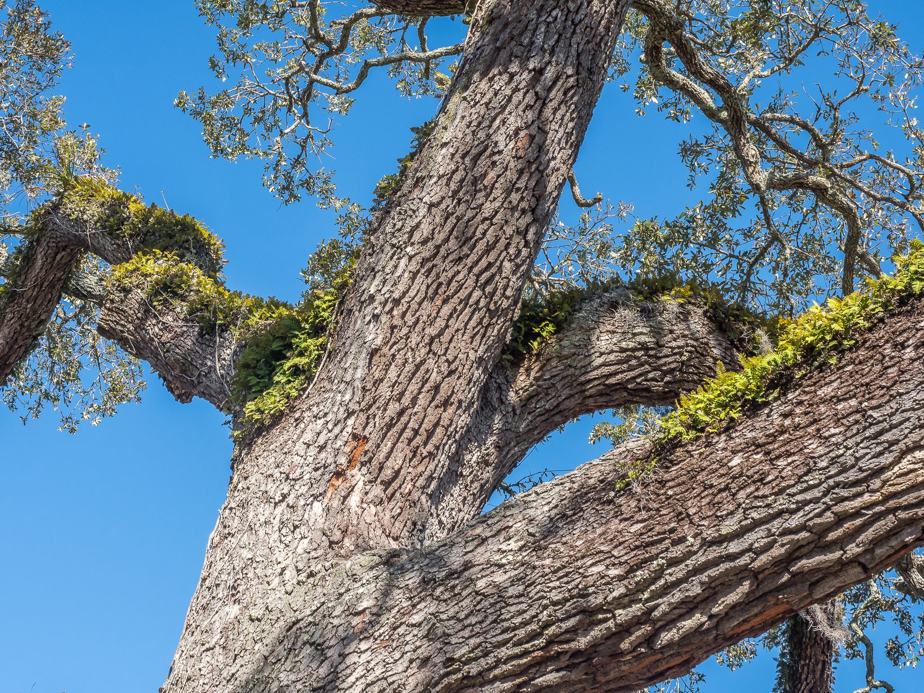 St. Simons Island, USA