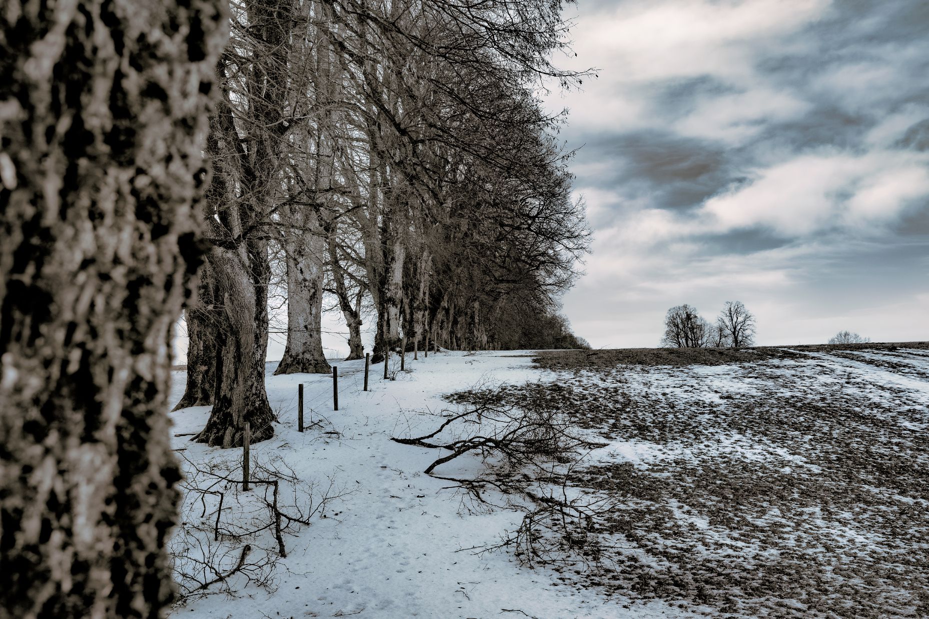 Steindlweg, Germany