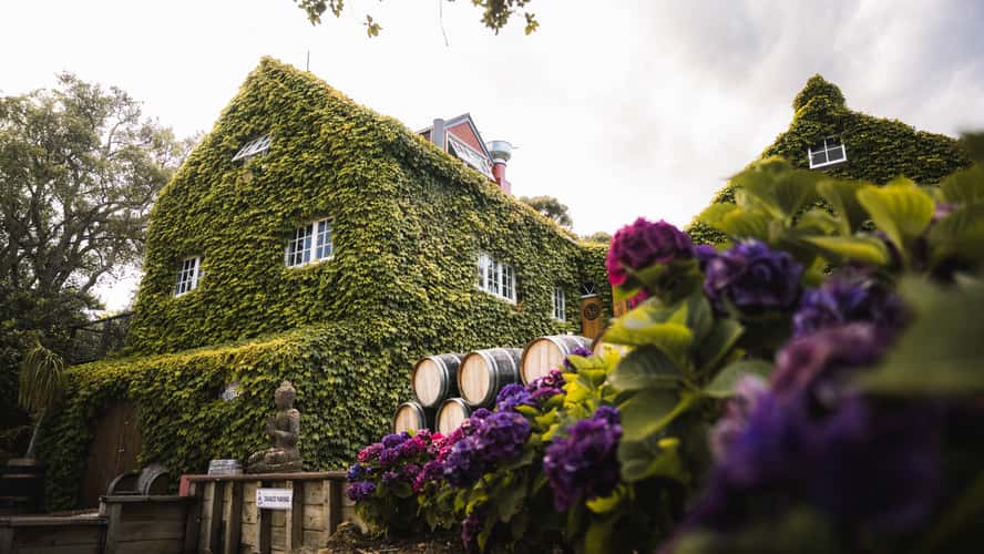Stonyridge Vineyard