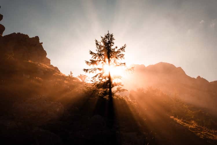 Sutjeska-Nationalpark