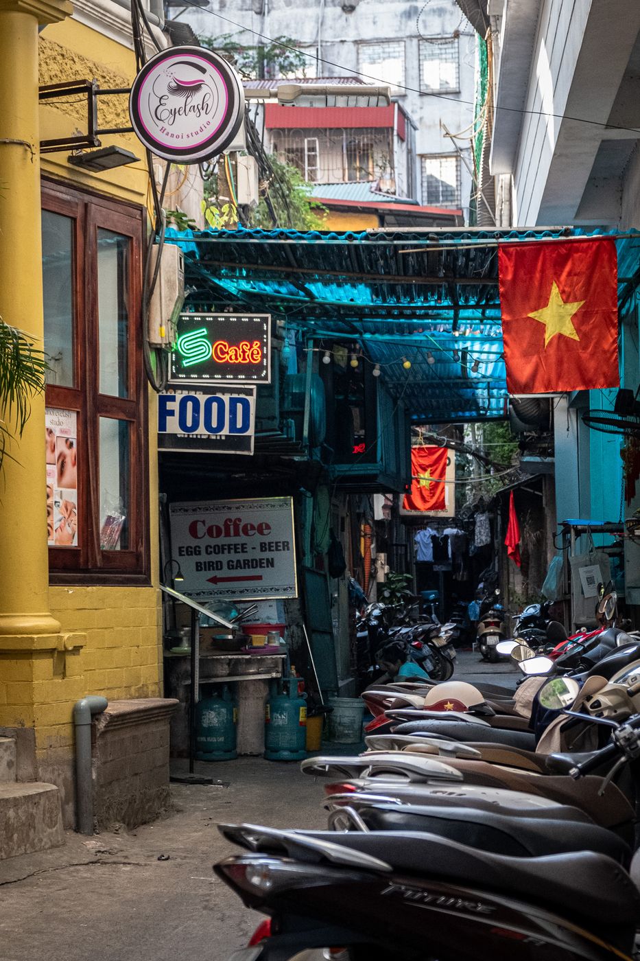 The real Vietnam, Vietnam