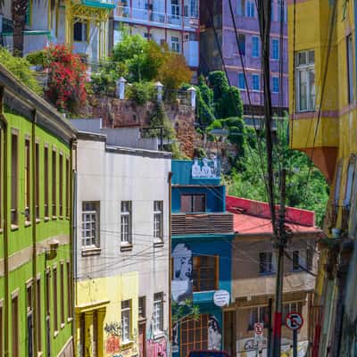 Valparaíso Urriola, Chile