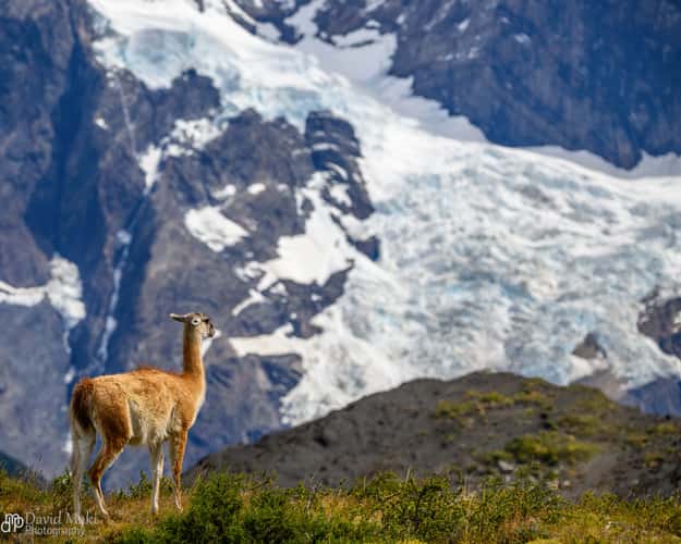 View of Torres del Paine from Mirador Salto Grande