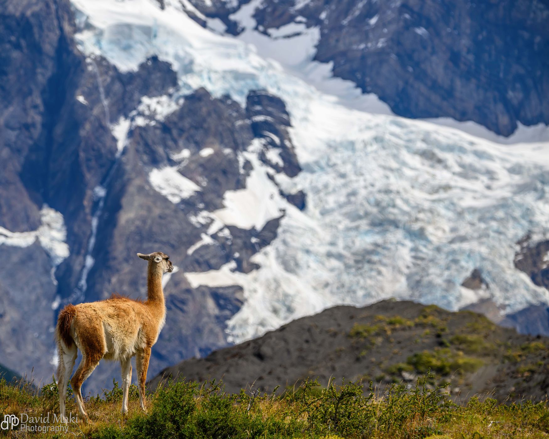 View of Torres del Paine from Mirador Salto Grande, Chile