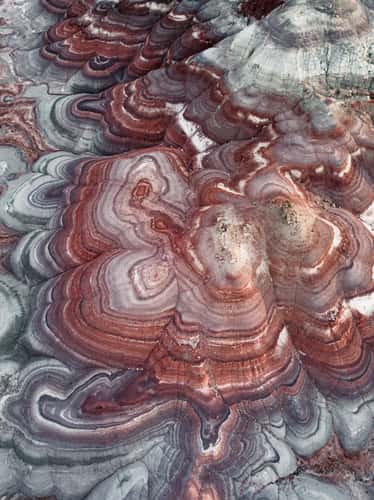 Bentonite Hills
