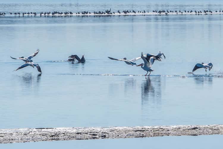 Bolsa Chica Ecological Reserve
