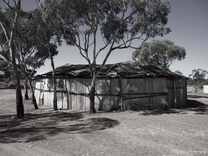 Bush 2-up School