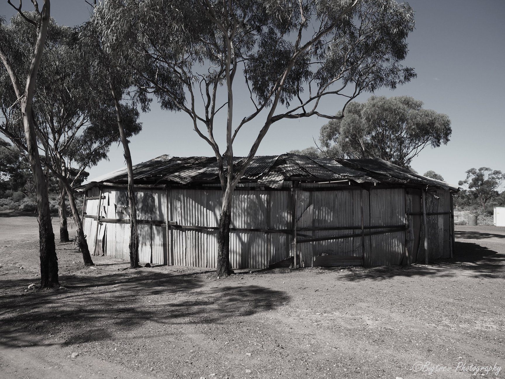 Bush 2-up School, Australia