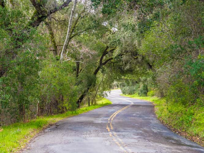 Carmel Valley Road