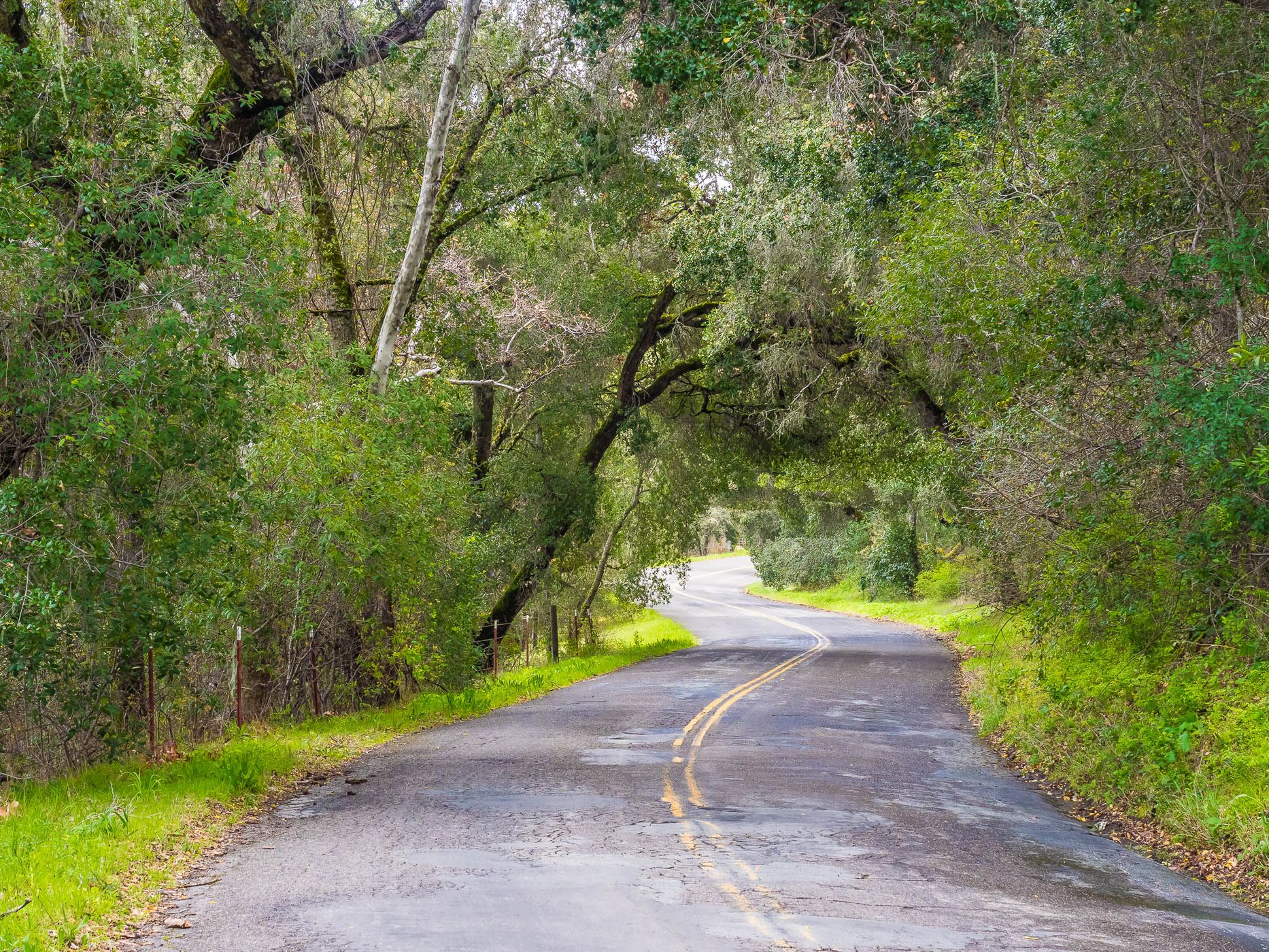 Carmel Valley Road, USA