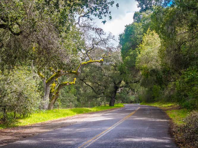 Carmel Valley Road