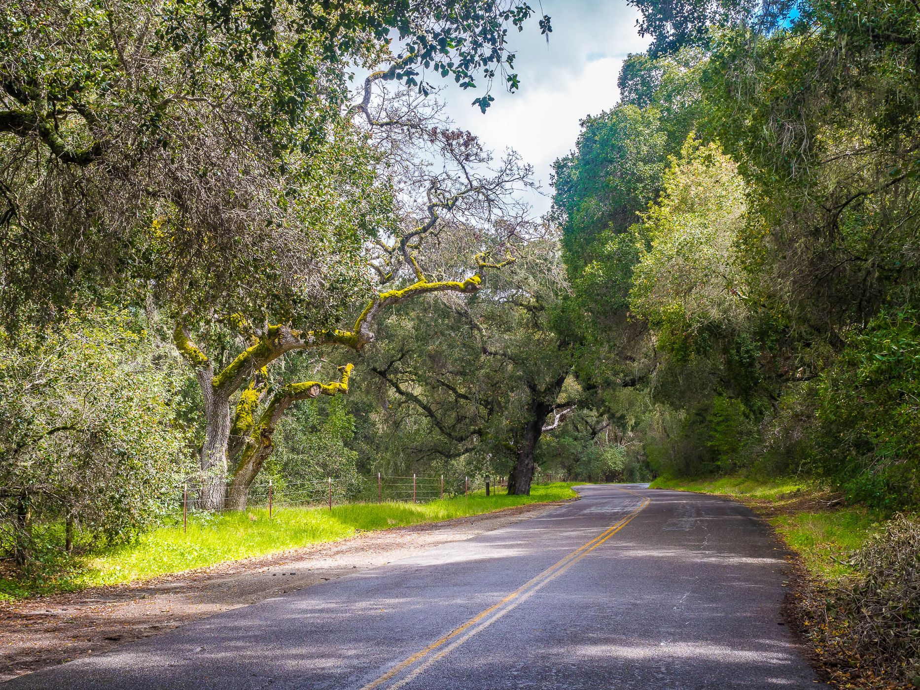 Carmel Valley Road, USA