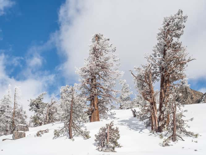 Carson Pass Highway
