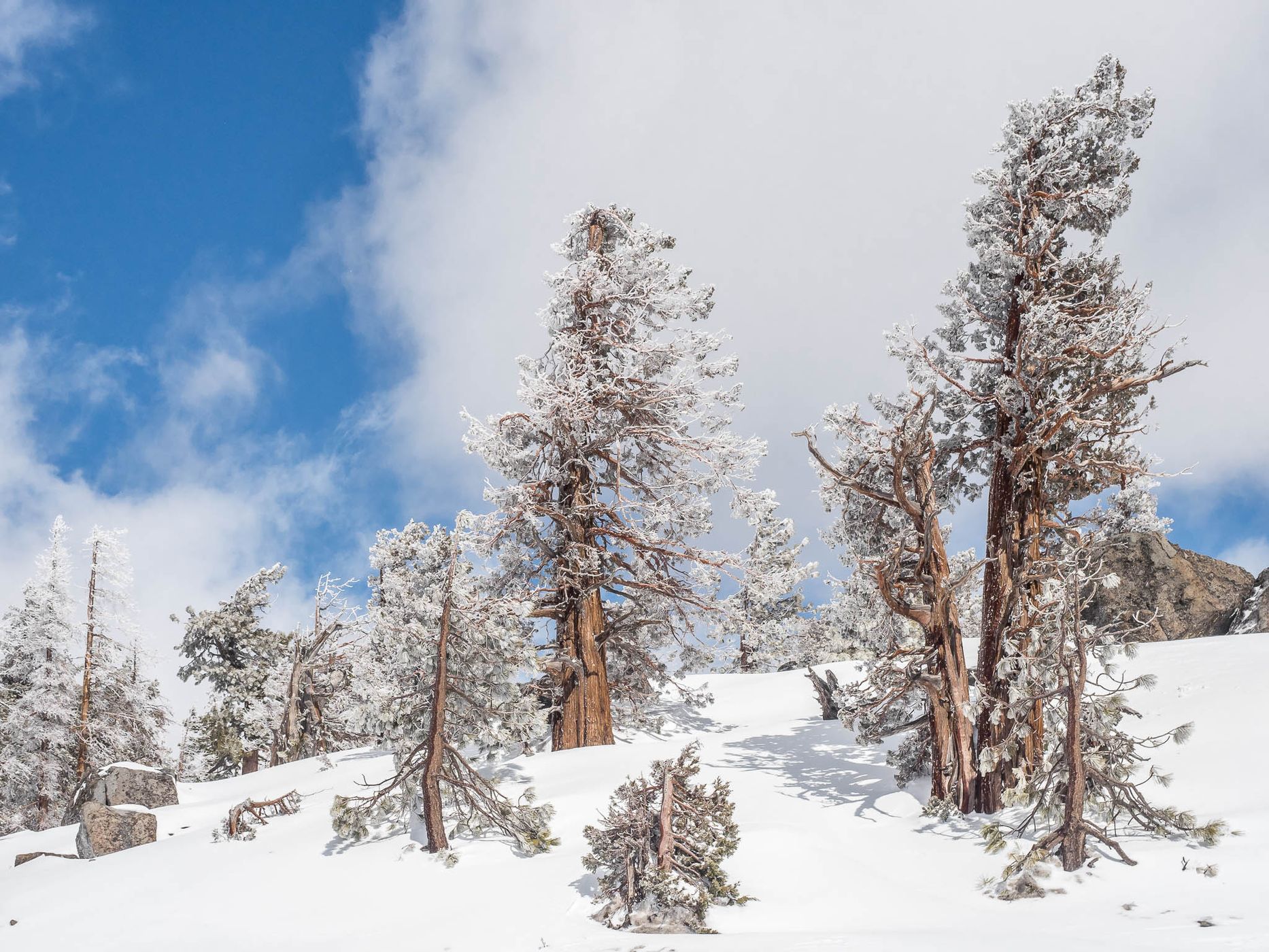 Carson Pass Highway, USA