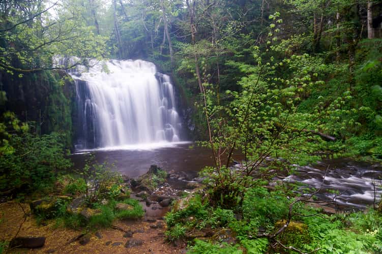Cascade du bois de chaux