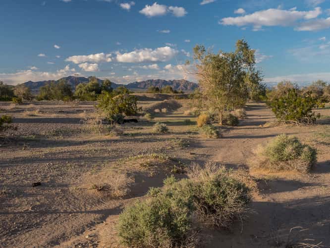 Chuckwalla Valley