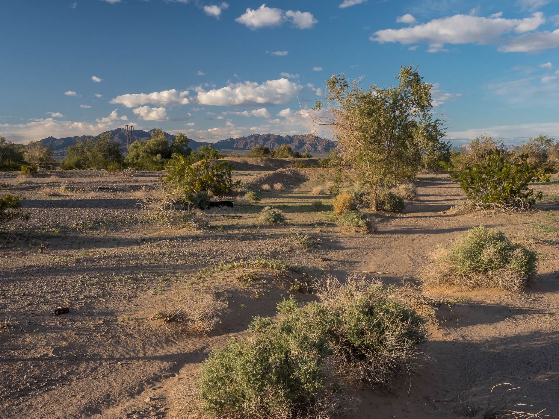 Chuckwalla Valley, USA