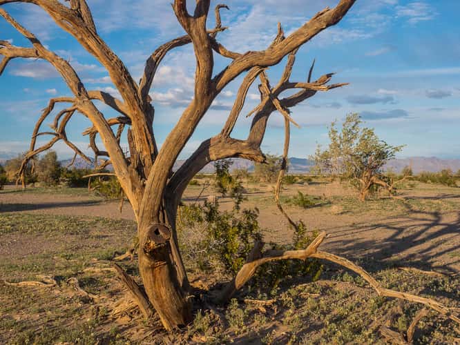 Chuckwalla Valley