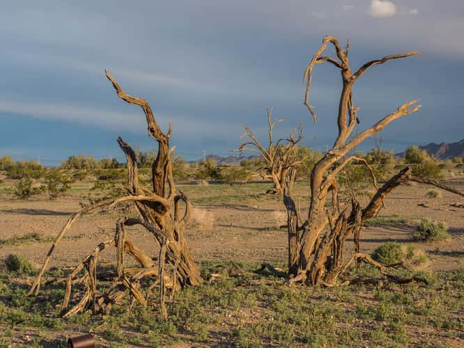 Chuckwalla Valley