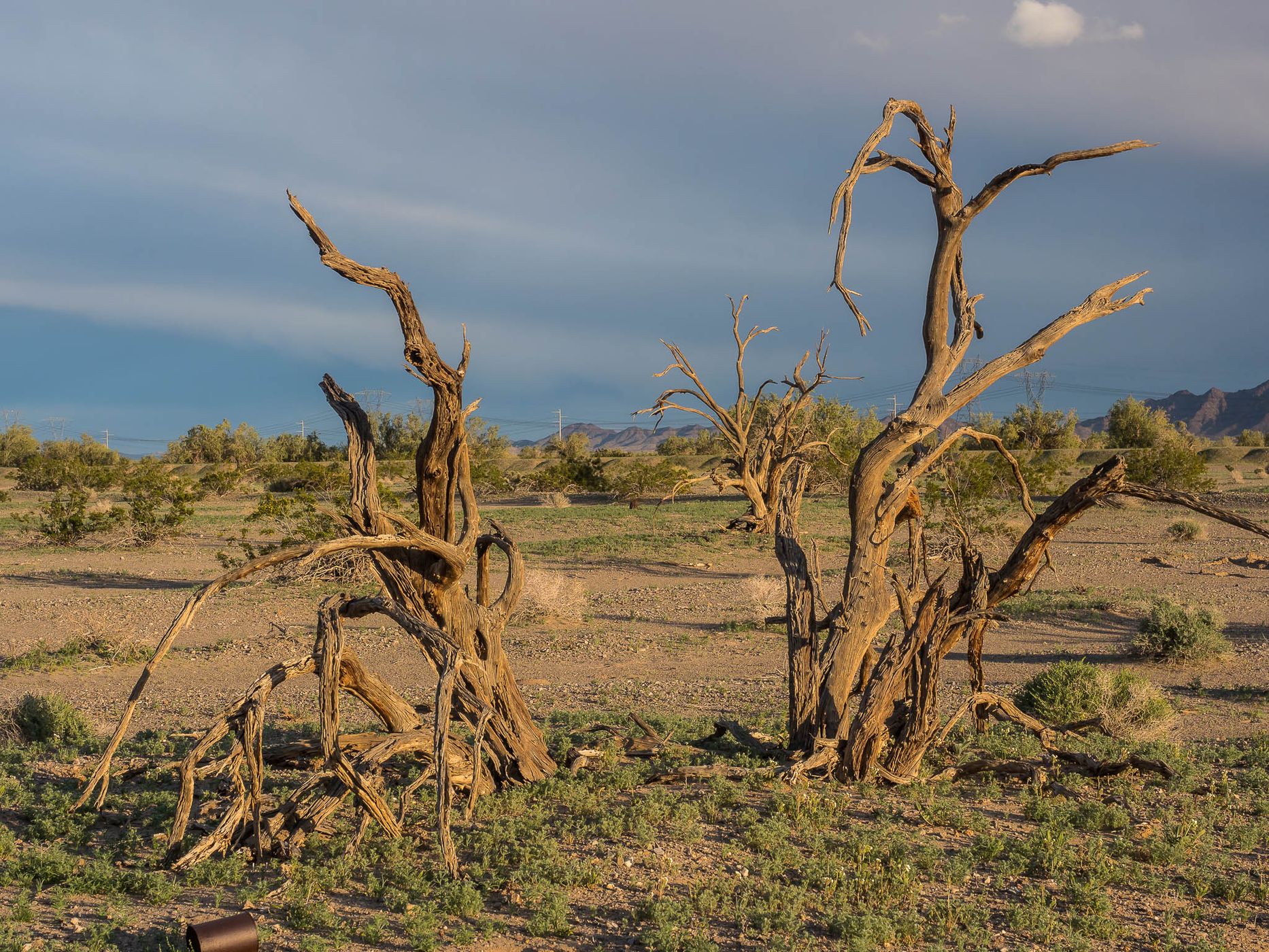 Chuckwalla Valley, USA
