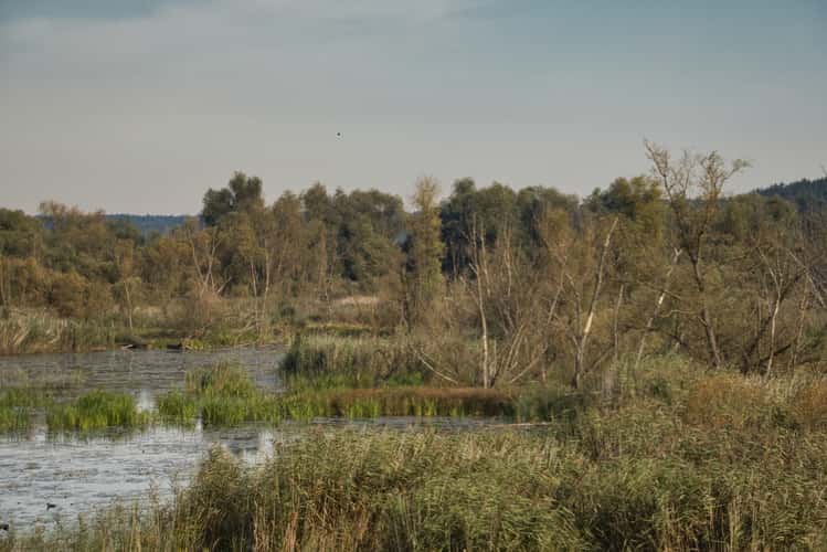 Europe Bridge Neurüdnitz