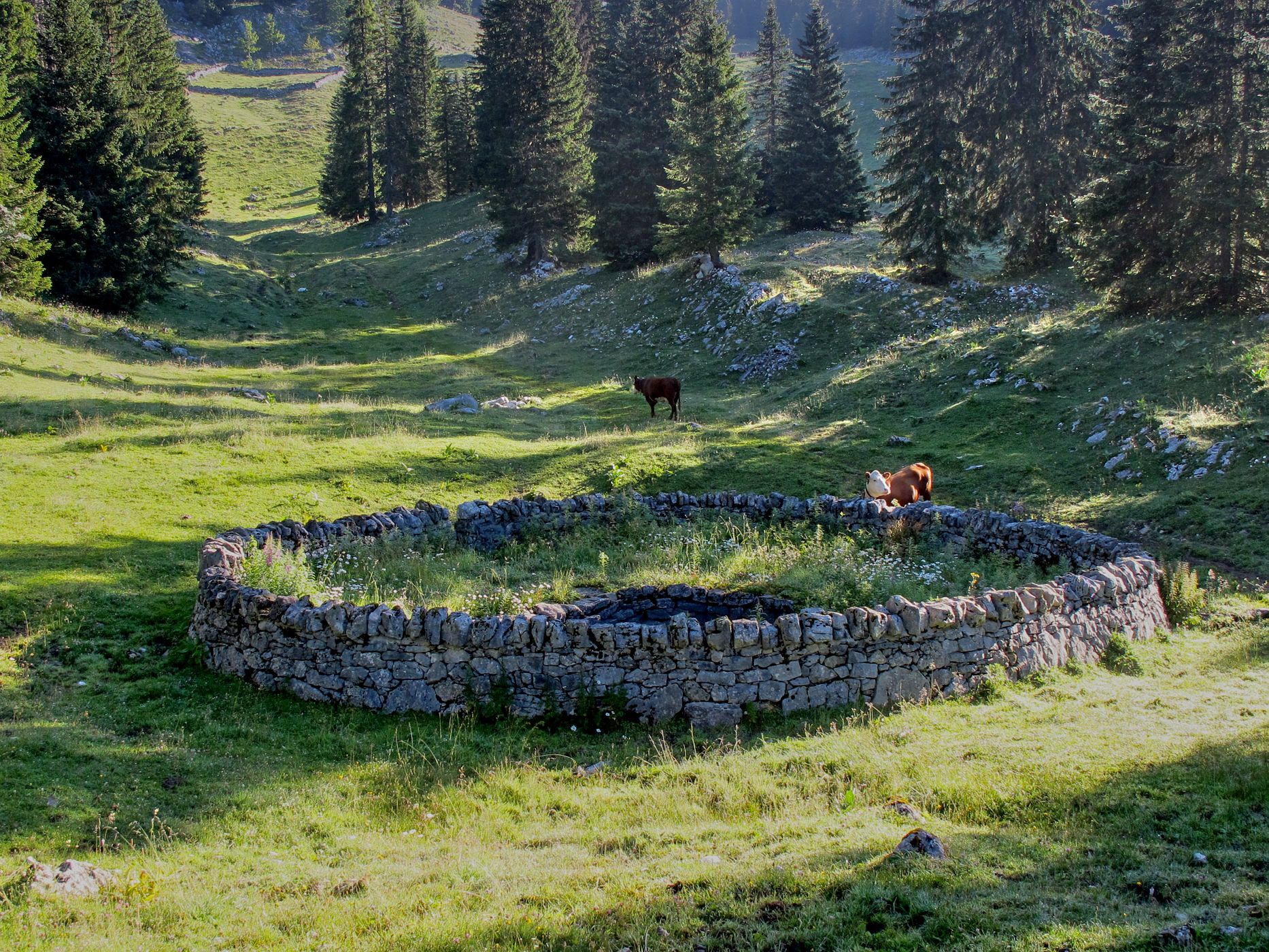 Fontaine de la Croue, Switzerland