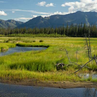 Grasslands in Kluane NP, Canada