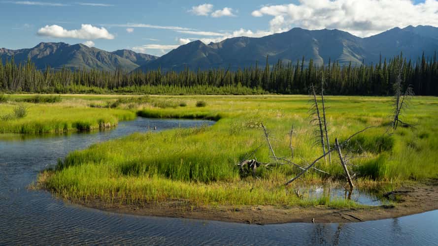 Grasslands in Kluane NP