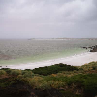Gypsy Cove Beach, Falkland Islands (Malvinas)