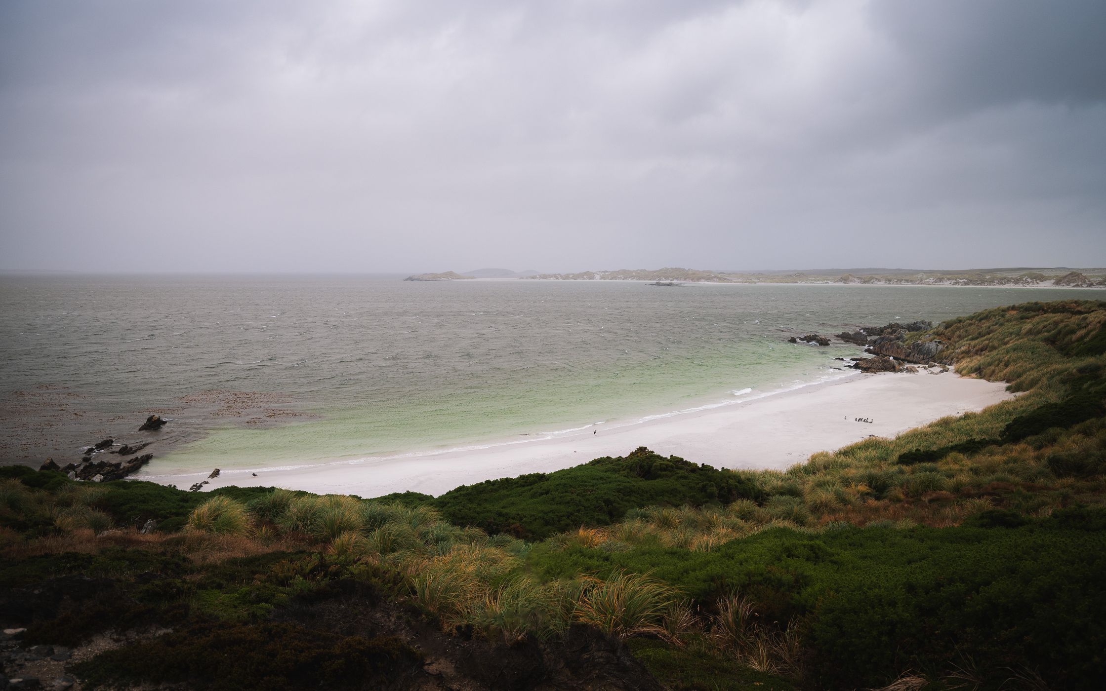 Gypsy Cove Beach, Falkland Islands (Malvinas)