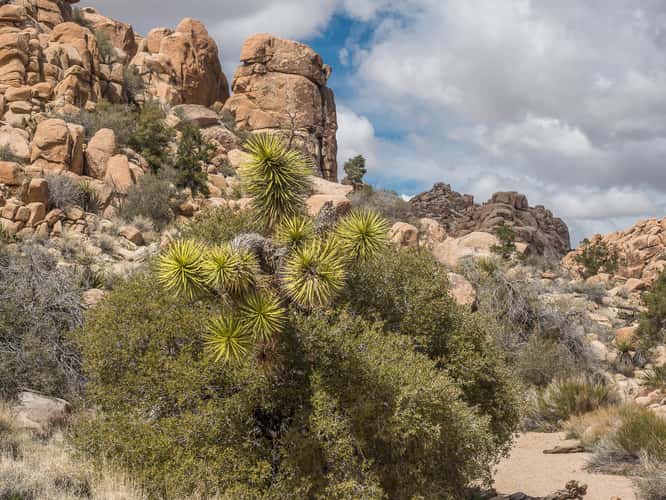 Hidden Valley