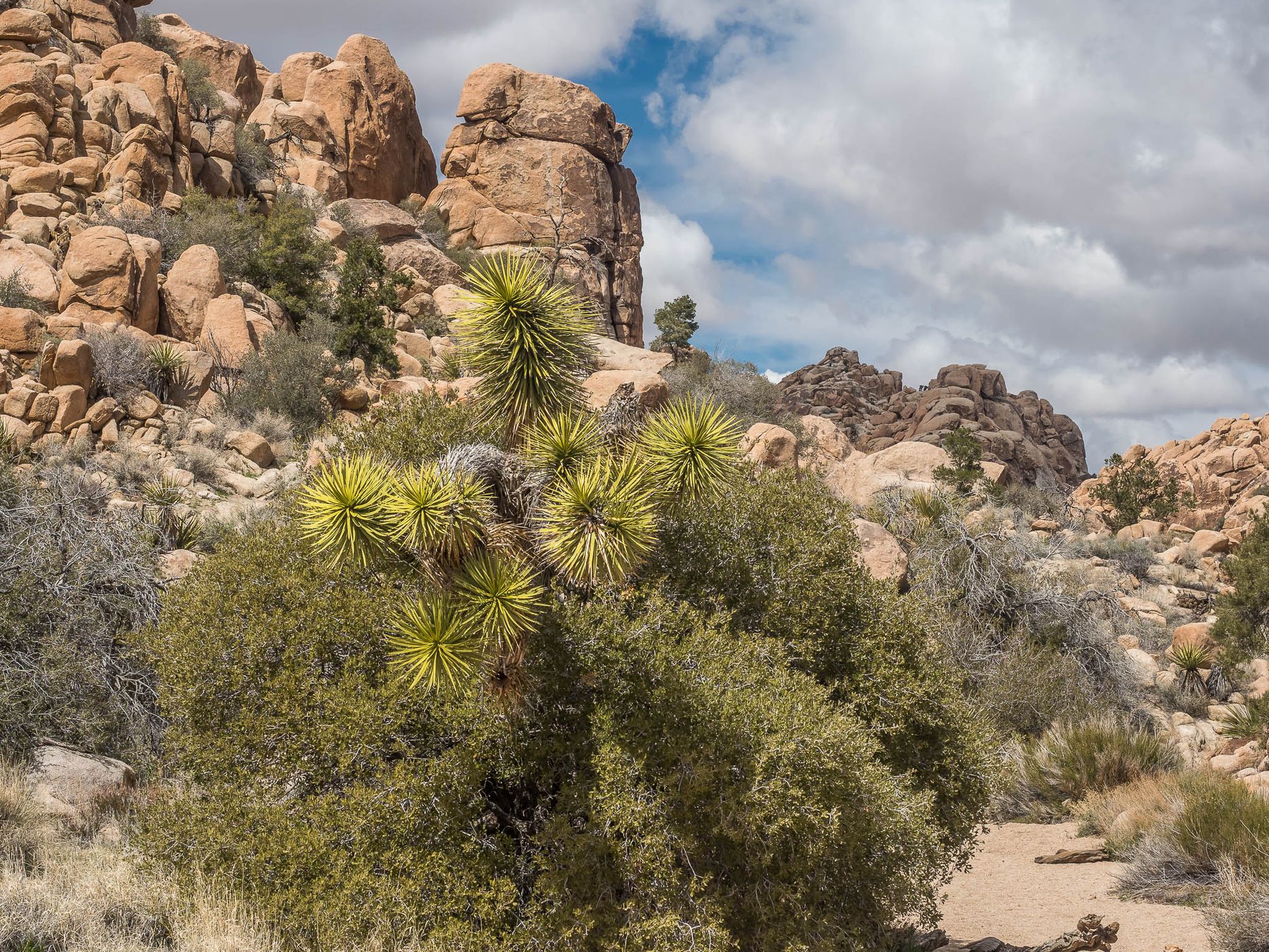 Hidden Valley, USA