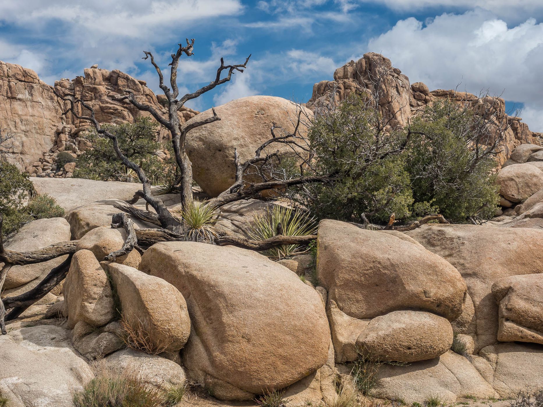 Hidden Valley, USA