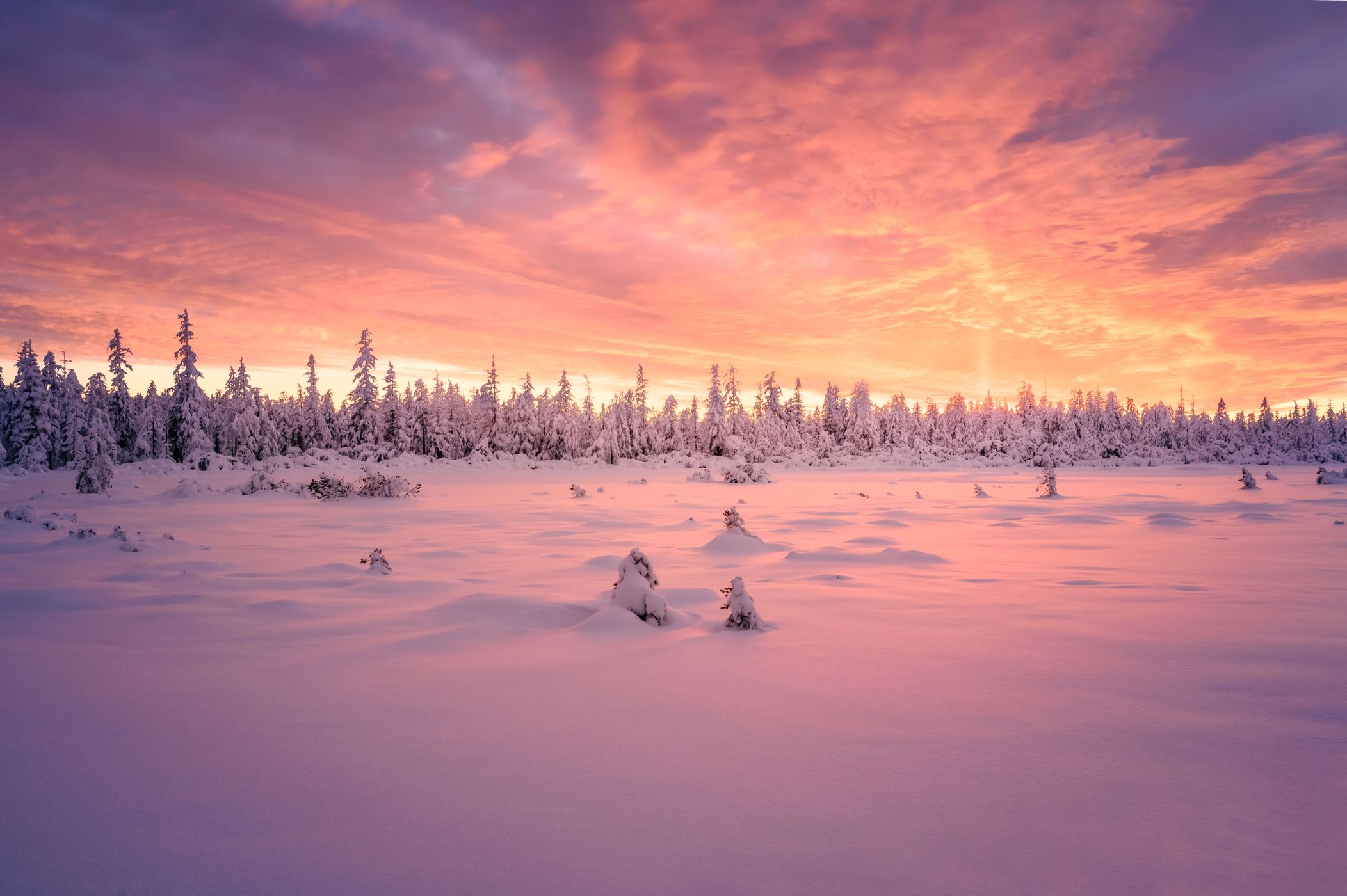 Hohlohsee, Germany