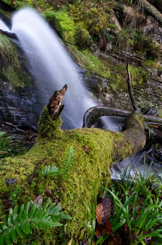 Holme Force, Loweswater