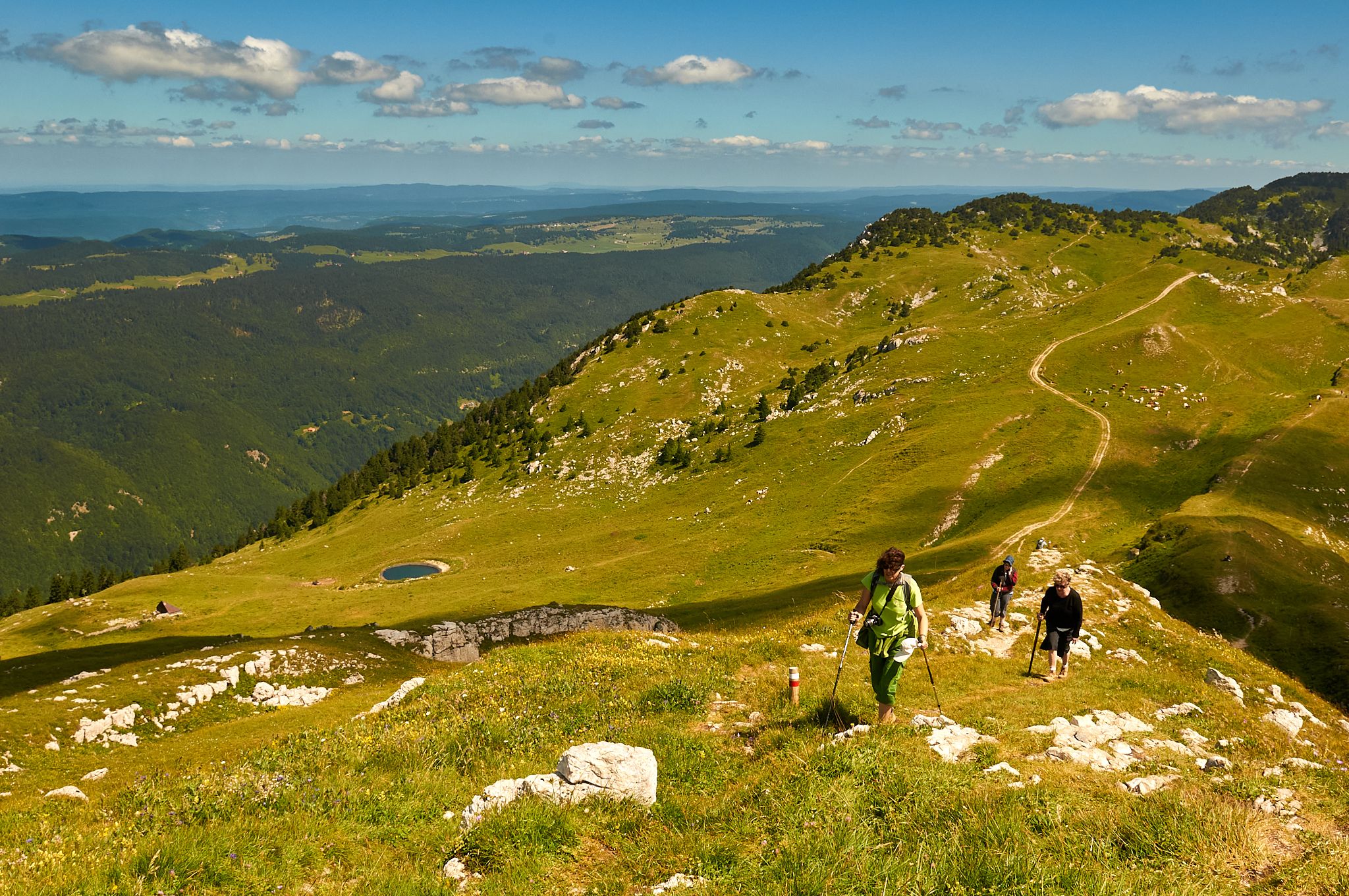 La croix du Reculet, France