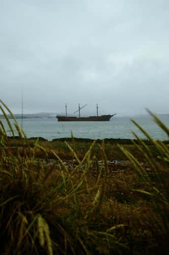Lady Elizabeth, Walebone Cove