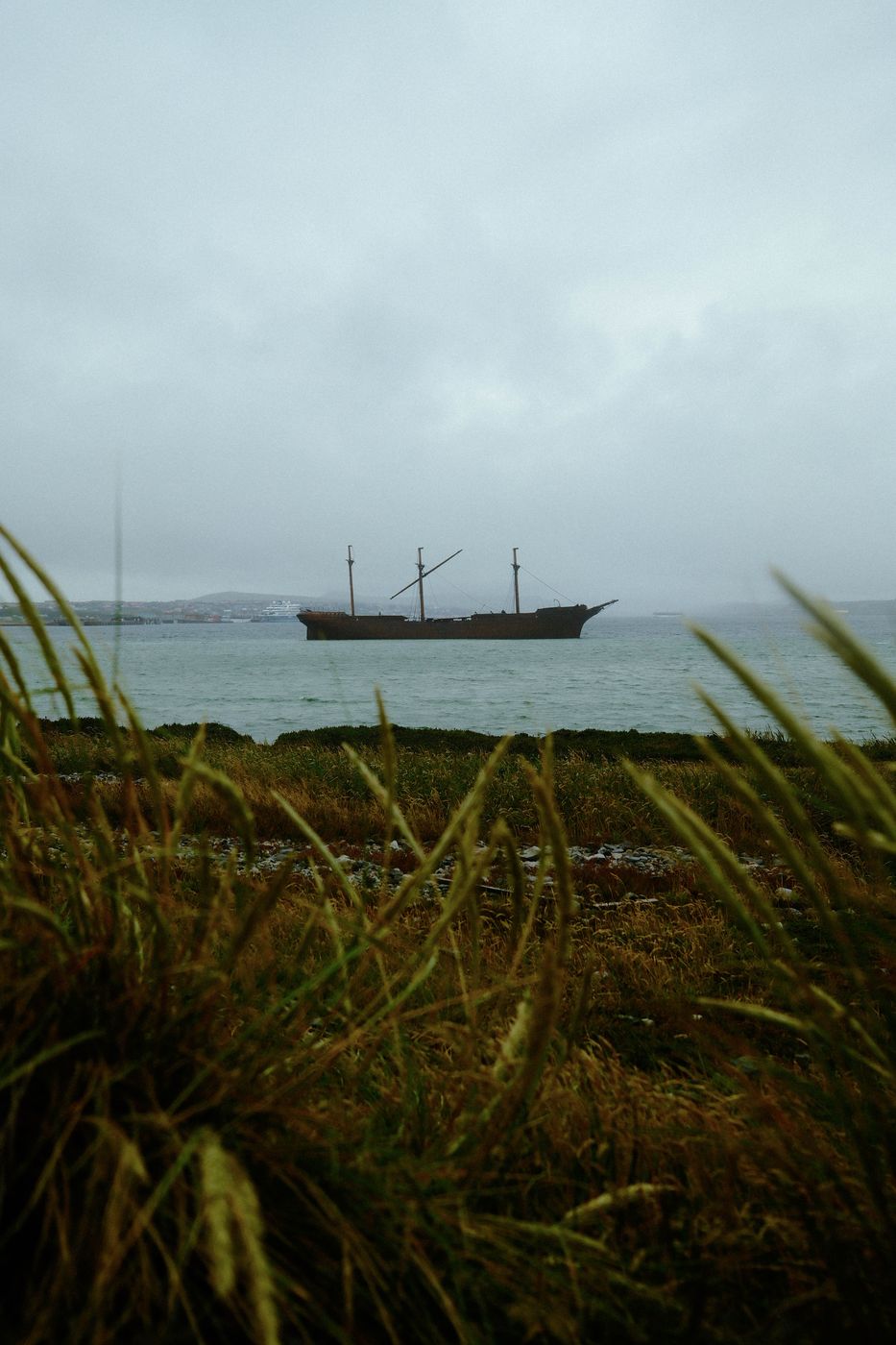 Lady Elizabeth, Walebone Cove, Falkland Islands (Malvinas)