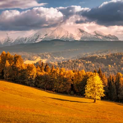 Łapszanka, Poland, Poland